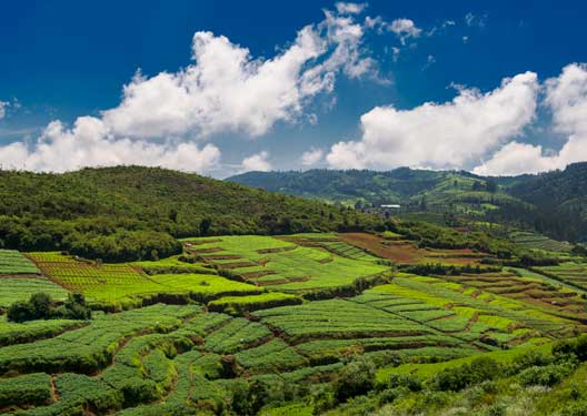 traveldilse-Magical Ooty